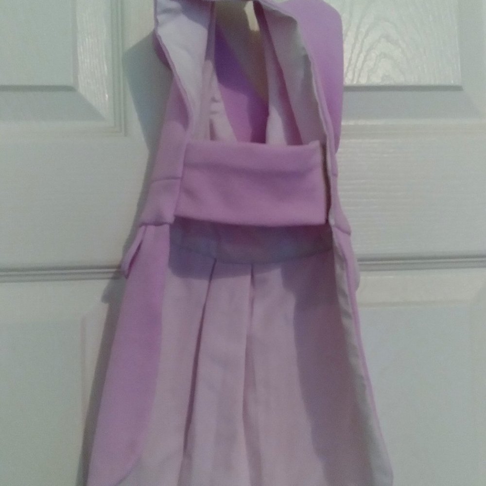 Introducing the Handmade Lavender Pet Jacket